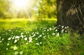 Aprel ayına olan hava proqnozu açıqlandı