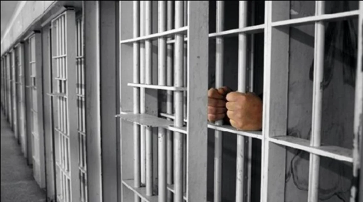 Amnistiyaya düşən Vətən müharibəsi iştirakçılarının sayı açıqlandı