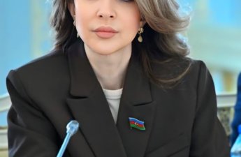 “Sosial mediada göstərilən ‘ideal həyat’ ilə real imkanlar arasındakı fərq gənclərdə depressiyanı artırır” – Günay Ağamalıyeva