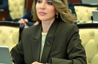 “Sosial mediada göstərilən ‘ideal həyat’ ilə real imkanlar arasındakı fərq gənclərdə depressiyanı artırır” – Günay Ağamalıyeva