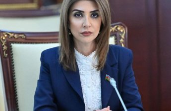 “Sosial mediada göstərilən ‘ideal həyat’ ilə real imkandakı fərq gənclərdə depressiyanı artırır” – Günay Ağamalıyeva