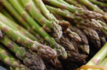 Baharda gələn şəfa - Qulançarın bilmədiyimiz 7 möcüzəvi faydası