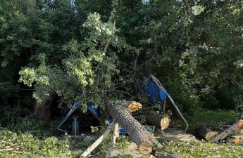 Ağac aşdı: 10 aylıq uşaq da daxil olmaqla 3 nəfər öldü