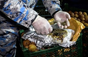 Kivi yükü aparan nəqliyyat vasitəsində külli miqdarda narkotik aşkarlandı - FOTO/VİDEO