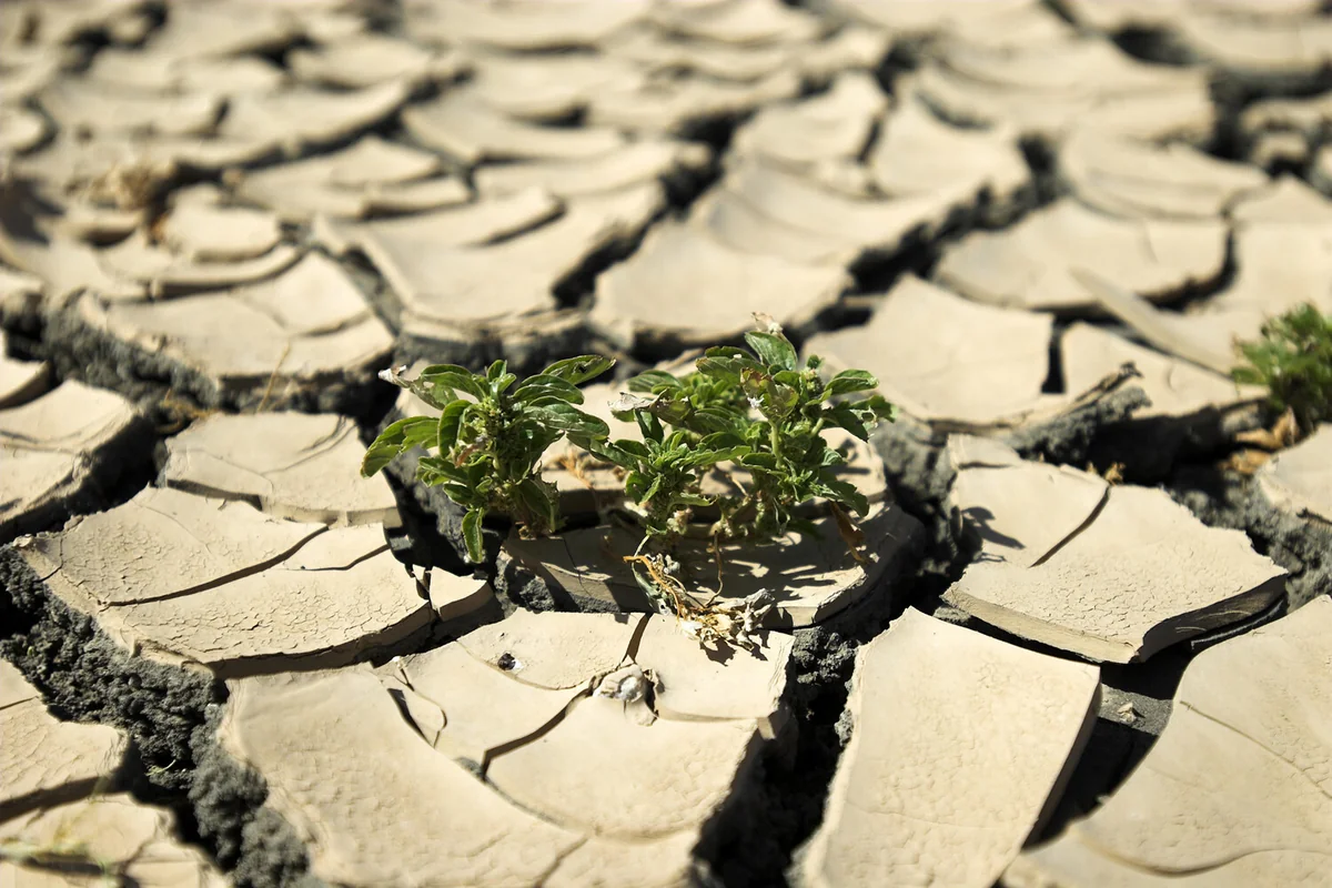 У глобального потепления выявили новую неожиданную опасность