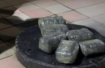 В Баку у 6 наркокурьеров изъято 72 кг наркотиков