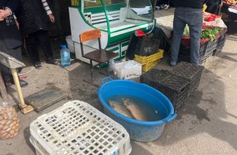 Tovuzda bazarda yoxlama keçirildi: Nöqsanlar aşkarlandı - FOTOLAR