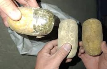 В Узбекистане более 190 кг гашиша пытались перевезти в афганских казанах
