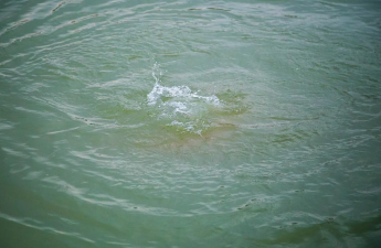 Tərtərdə 7 yaşlı qız kanala düşərək boğulub