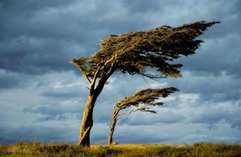 В Азербайджане объявлено желтое и оранжевое предупреждение в связи с ветром