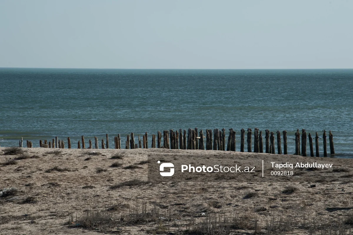 Заур Микаилов: Вблизи Сумгайыта начато строительство завода по опреснению морской воды - ВИДЕО