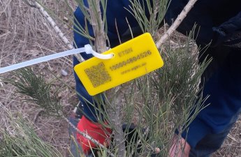 Elmi Cərrahiyyə Mərkəzi: 