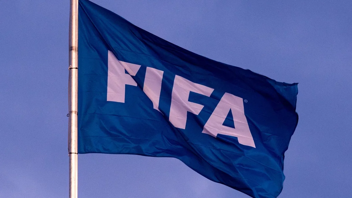 FIFA Türkiyə təmsilçisinin altı xalını sildi