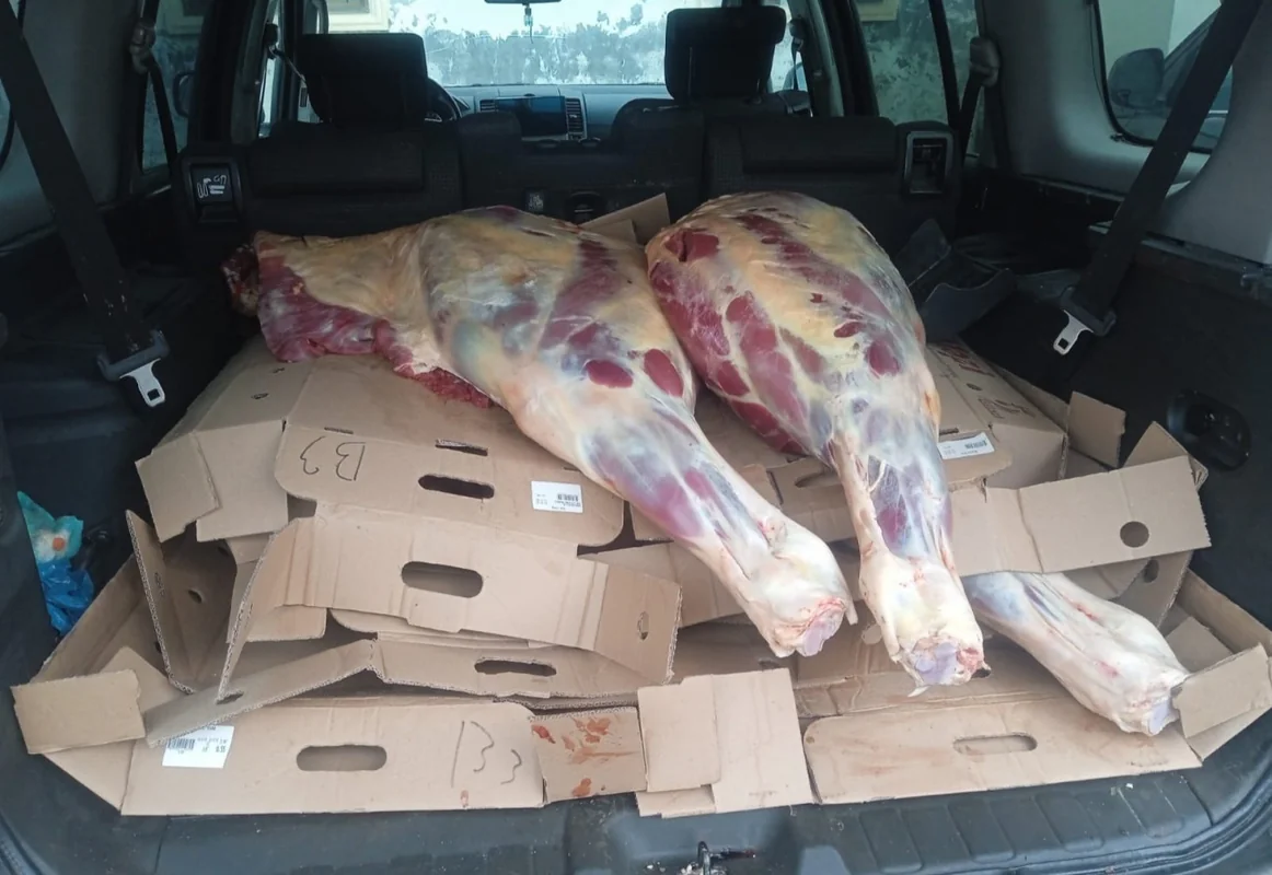 Reyd zamanı istehlaka yararsız 227 kq at əti aşkarlanıb - FOTO