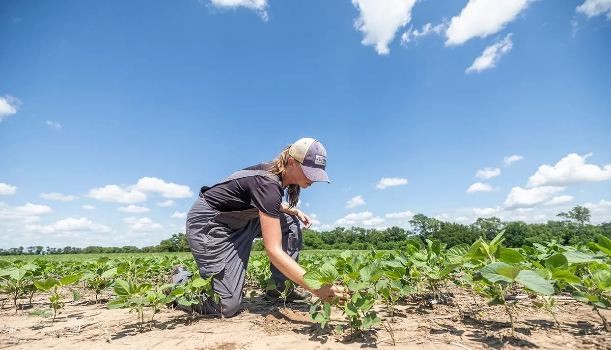 Обнародовано число женщин-фермеров в Азербайджане - ФОТО