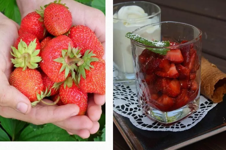 Hər gün çiyələk yesəniz orqanizminizdə nə baş verəcək? - CAVAB