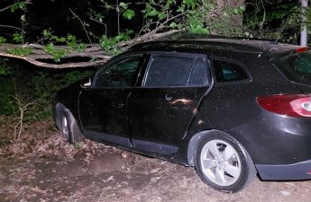 В Лянкяране автомобиль врезался в дерево: есть погибший