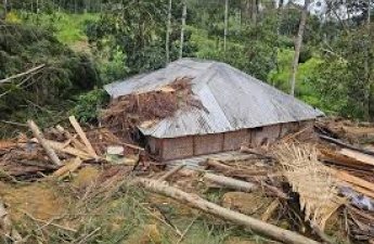 Оползень в Папуа-Новой Гвинее унес жизни как минимум 10 человек