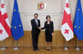 Gürcüstan XİN başçısı Türkiyə səfiri ilə regional təhlükəsizliyi müzakirə edib