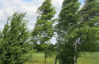 Küləkli hava şəraiti ilə bağlı sarı və narıncı xəbərdarlıq verildi - FOTO