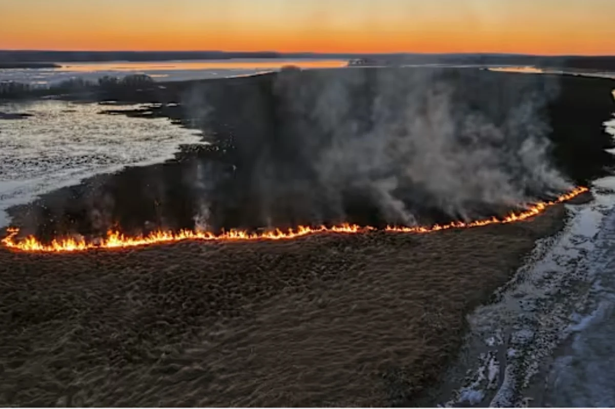 В Финляндии полностью сгорел необитаемый остров - ФОТО/ВИДЕО