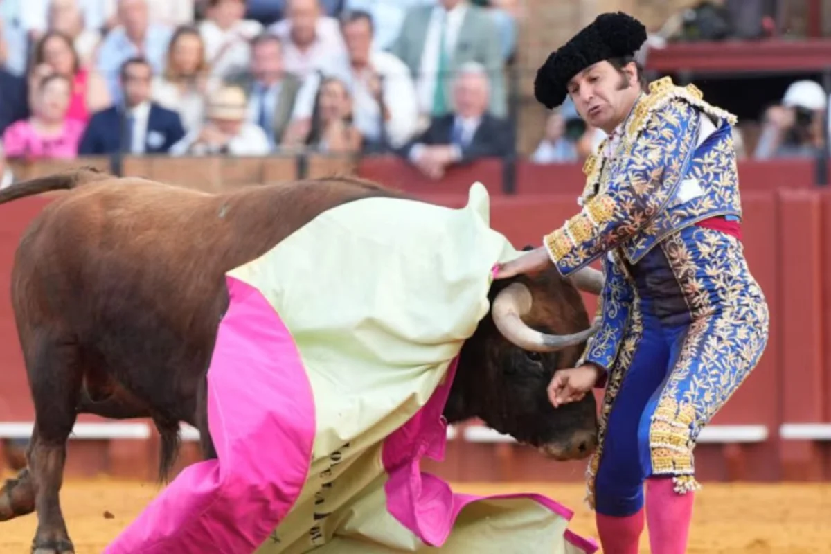 В Испании бык на корриде проткнул рогом тореадора