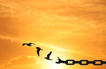 Cənubi Qafqazda formalaşan sülh nizamı və qərəzli xarici müdaxilə