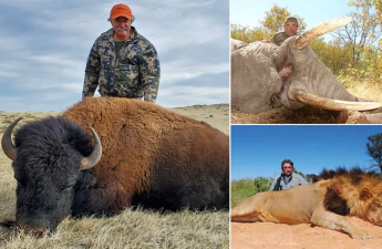 Milyoneri fillər tapdalayıb öldürdü