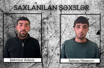 Şirvanda çətənə kolları yetişdirən iki nəfər saxlanıldı