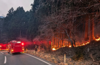 Meşədə güclü yanğın baş verdi - 1400 yanğınsöndürən cəlb edildi