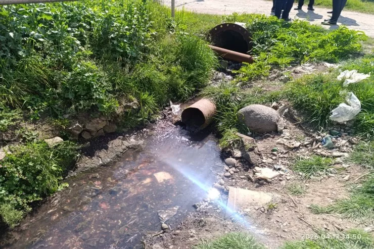 Toyuqları kəsib qanını Xəzərə axıdanlar CƏZALANDIRILDI - FOTO