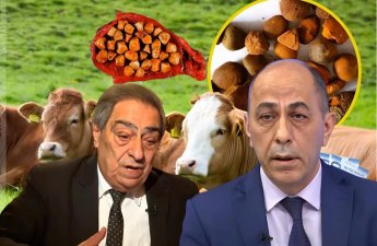 Qızıl qiymətinə satılan inəyin öd daşı iki həkimi üz-üzə qoydu: “Bu cəfəngiyyatdır, bizim millət falçıya da inanır” - FOTO+ÖZƏL