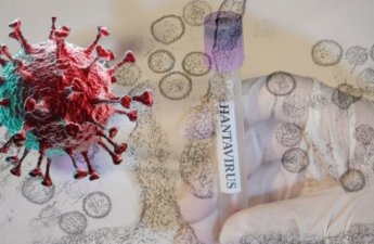 Hantavirus daha bir ölkəyə yayıldı