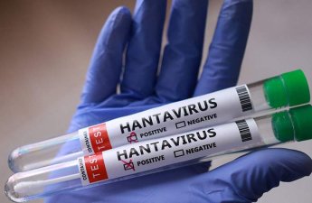 В Финляндии выявлены случаи заражения хантавирусом