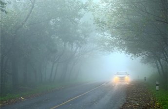 Из-за тумана снизится видимость на дорогах