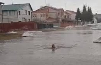 В Якутии затопило десятки дворов из-за паводков