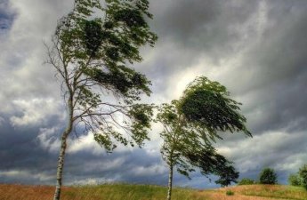 Küləkli hava şəraiti ilə bağlı sarı xəbərdarlıq verildi