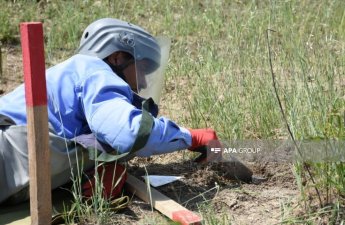 На освобождённых территориях обнаружены ещё 91 мина и 440 неразорвавшихся боеприпасов