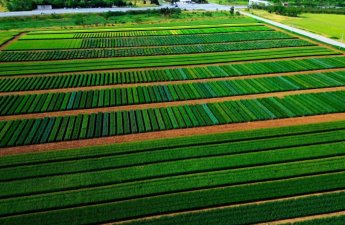 В Азербайджане рост аграрного сектора ускорился до 2%