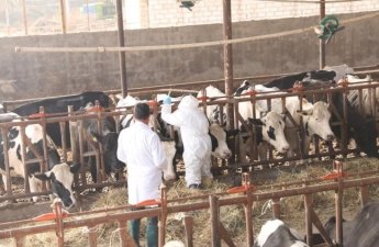Azərbaycanda yenidən dabaq riski: Nazirlikdən RƏSMİ AÇIQLAMA