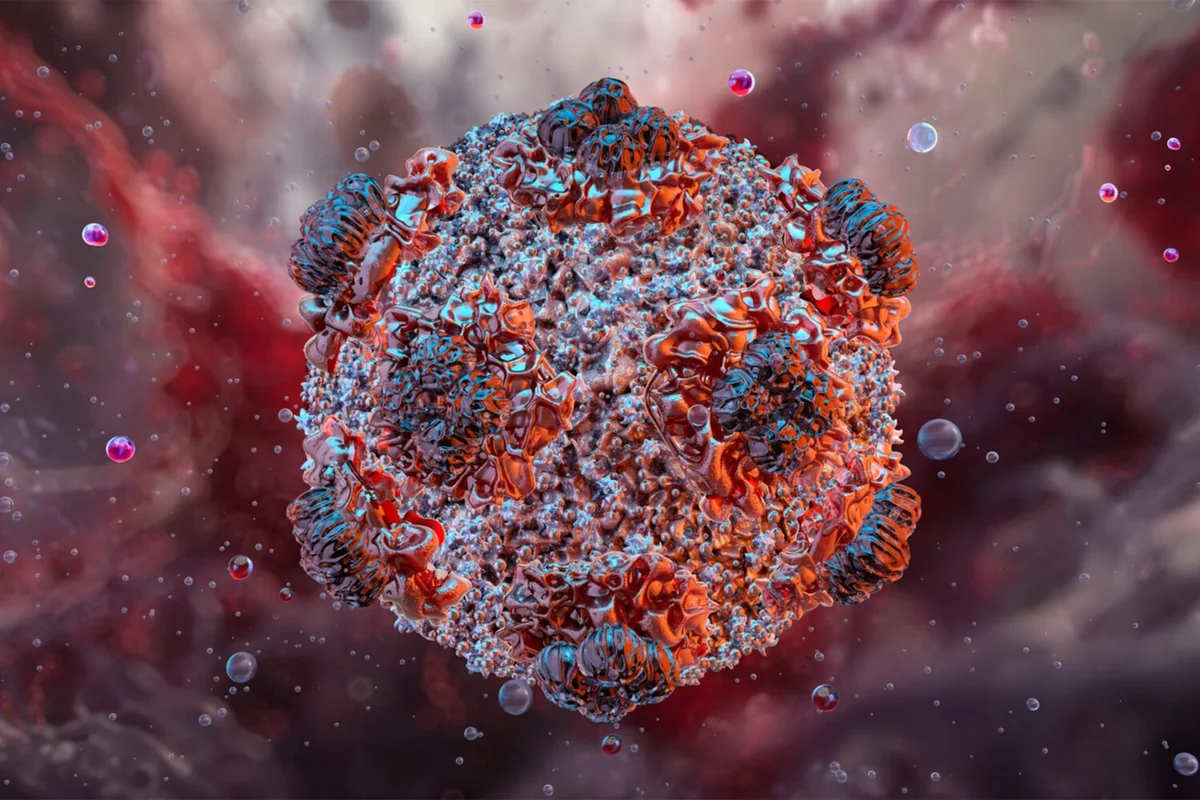 Hantavirus otaq temperaturunda maksimum nə qədər 
