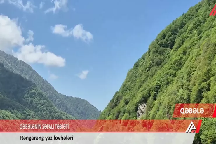 Qəbələni heç belə görməmisiniz - VİDEO