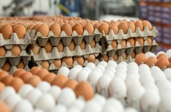 Azərbaycanda yumurta niyə bahalaşır? – İqtisadçı səbəbləri açıqladı