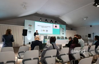 В рамках WUF13 проходит и Восточноевропейский Центральноазиатский форум