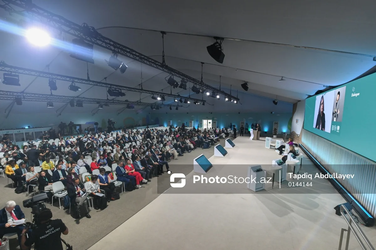 Проводится конференция на тему 