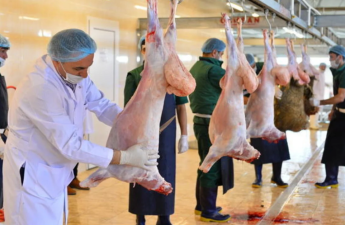 Qurban bayramı ilə bağlı təhlükəsiz heyvan kəsimi və satışına nəzarət gücləndirilib