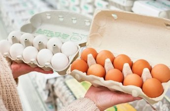 Bu ölkə ilk dəfə olaraq süni yumurta YARATDI