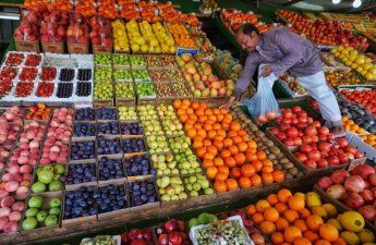 Обнародован объем производства продукции в сельхозпарках Ирана