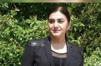 Naxçıvandan Günay Ağamalı, Kamal Abdulla və Mir Şahinə MÖHTƏŞƏM CAVAB...