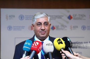 Представитель AПБA: Мясо шестимесячных животных уступает по качеству мясу годовалых